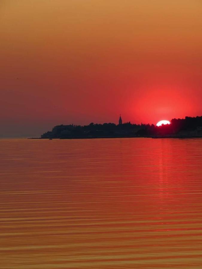 Roberta Novigrad Istria