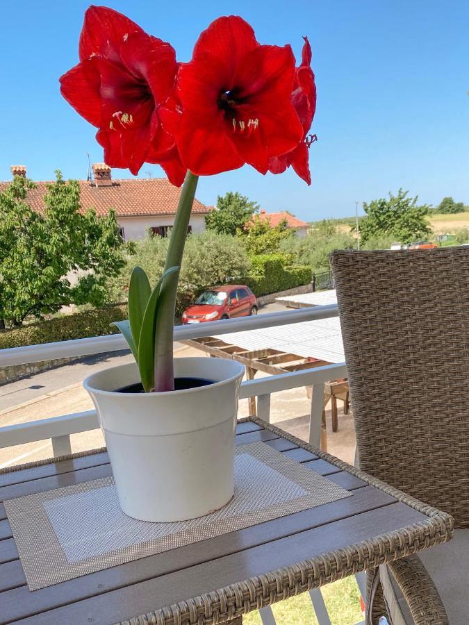 Roberta Novigrad Istria