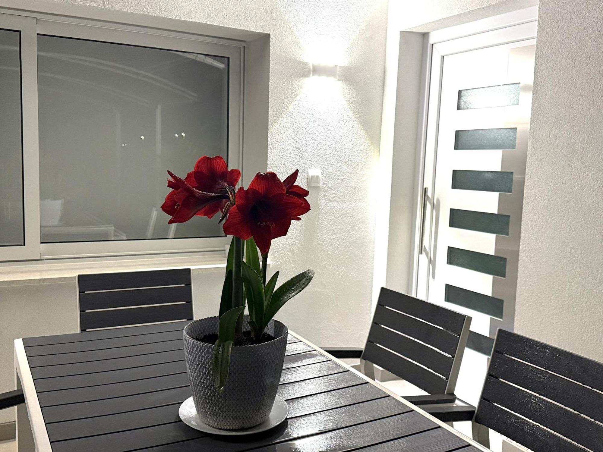Apartment Roberta Novigrad (Istria)